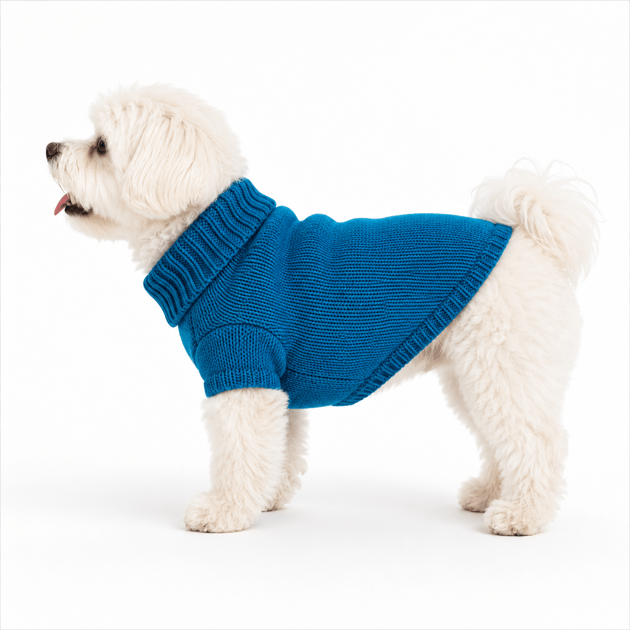 Tail-Ord Cozy Knit Dog Sweater - Tailord