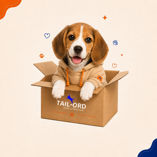 Beagle