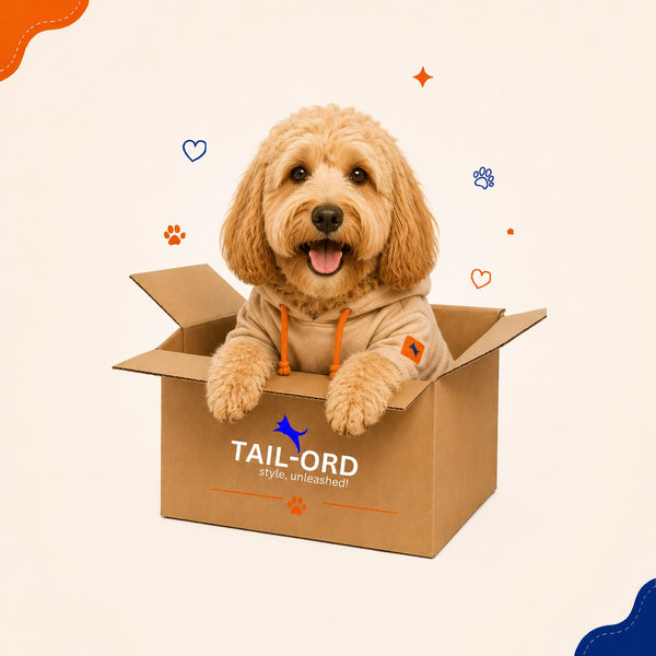 Labradoodle