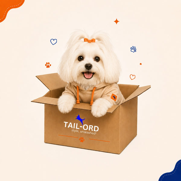 Maltese