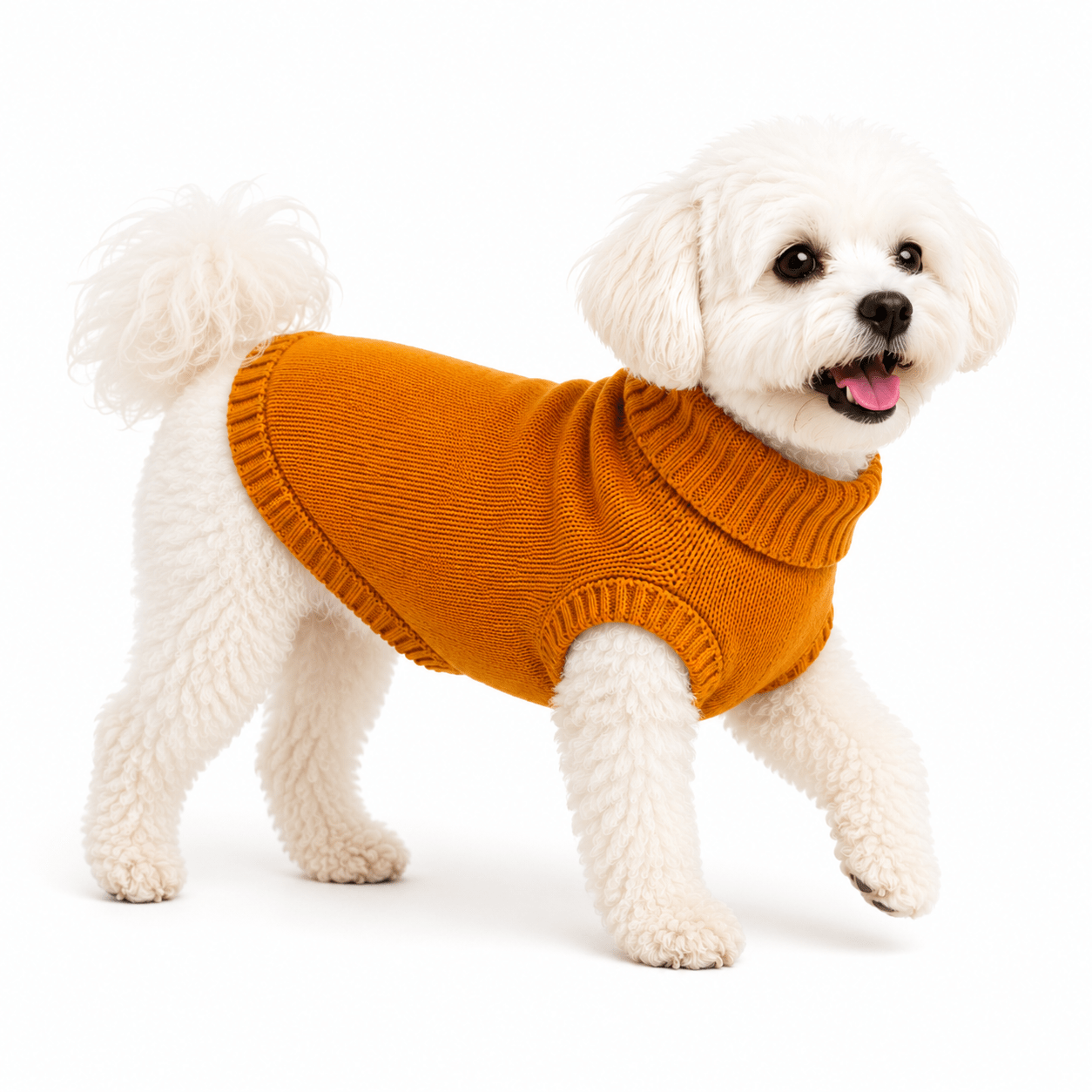 Tail-Ord Cozy Knit Dog Sweater - Tailord
