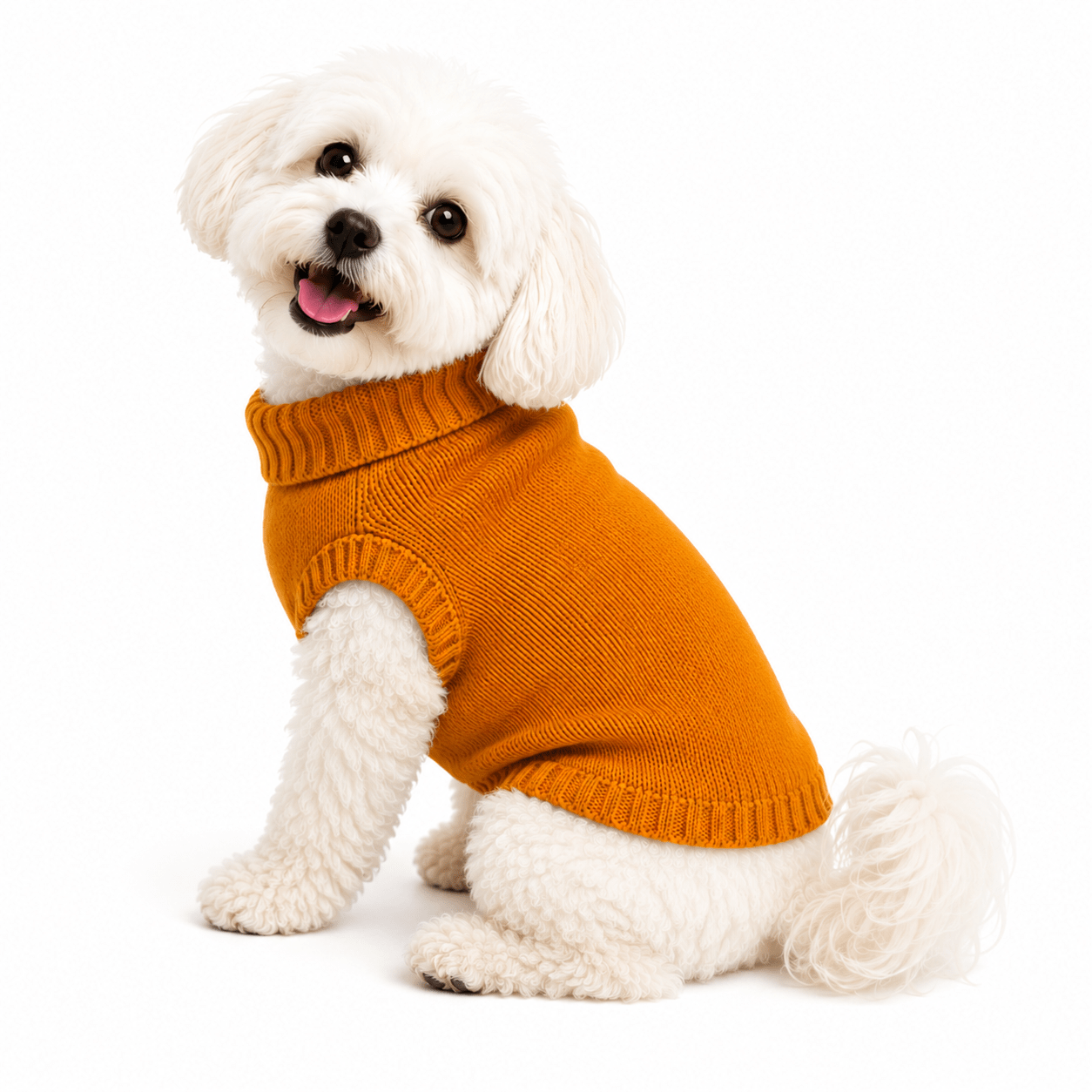 Tail-Ord Cozy Knit Dog Sweater - Tailord