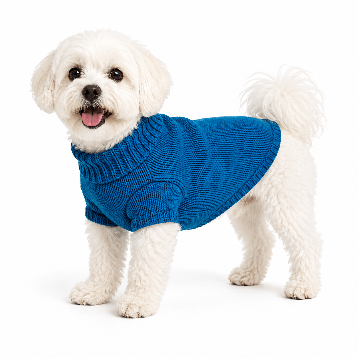 Tail-Ord Cozy Knit Dog Sweater - Tailord